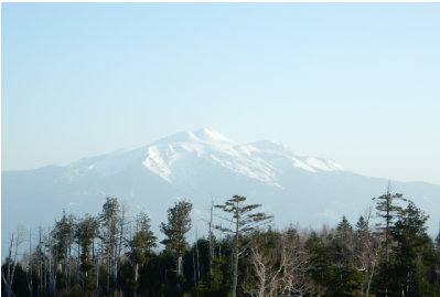 早起きした子供と一緒に、朝の散歩に出かける