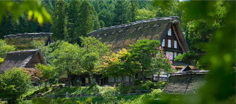 情緒ある建物が並ぶ「古い町並」の散策を楽しむ