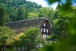 子供も大人も楽しむ三世代旅行