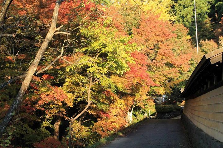 「古い町並み」からほど近い、城山にて。