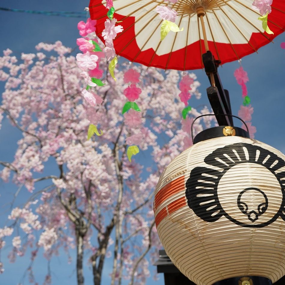 桜舞う青空の下、春の高山祭が静かに開催されました。