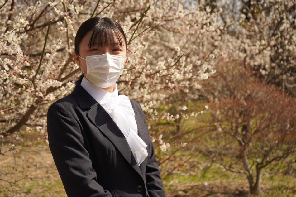 高山では梅の花が見頃、桜のつぼみが、少しずつ花開いて参りました。